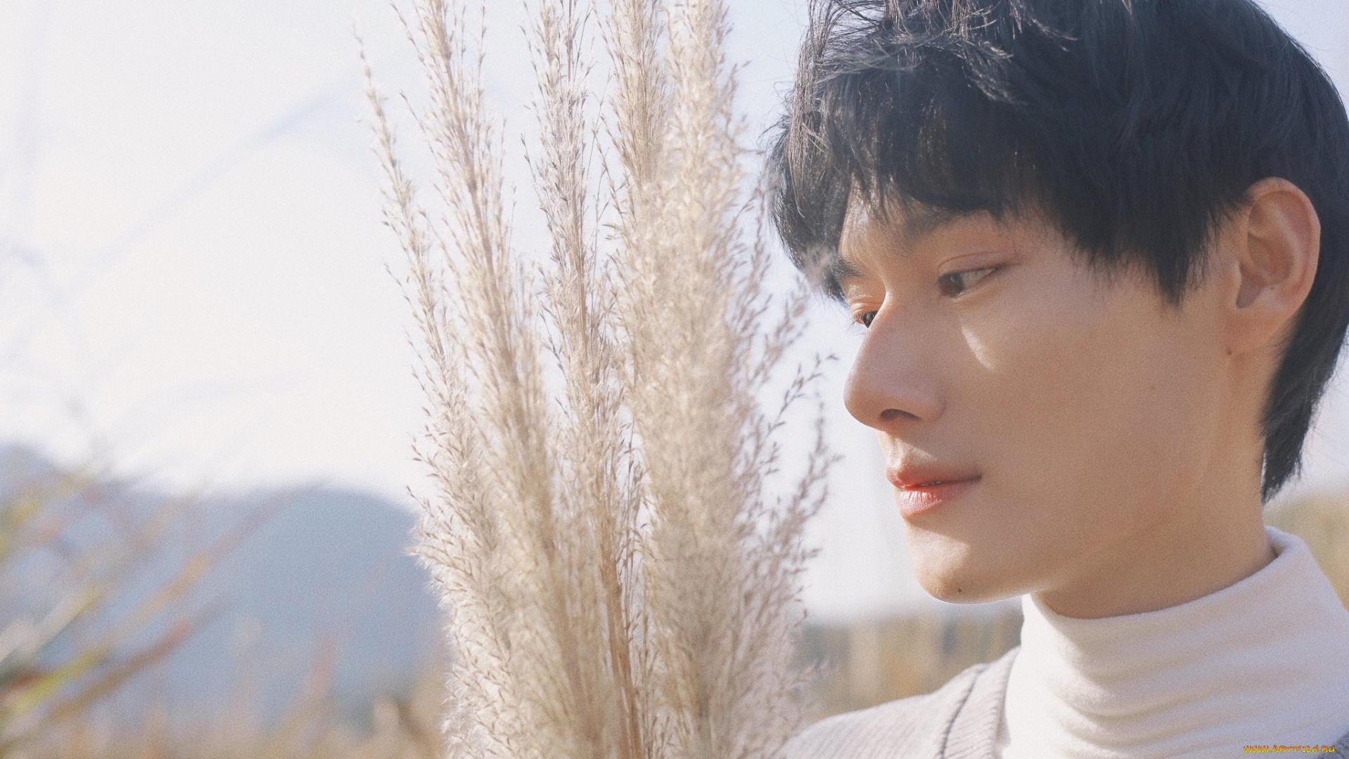 мужчины, wang, zhuocheng, актер, лицо, свитер, метелки