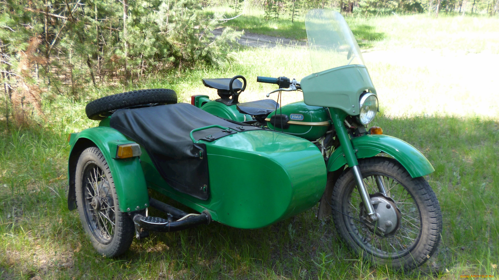 урал, мотоциклы, мотоциклы, с, коляской, мотоцикл, коляска, лес