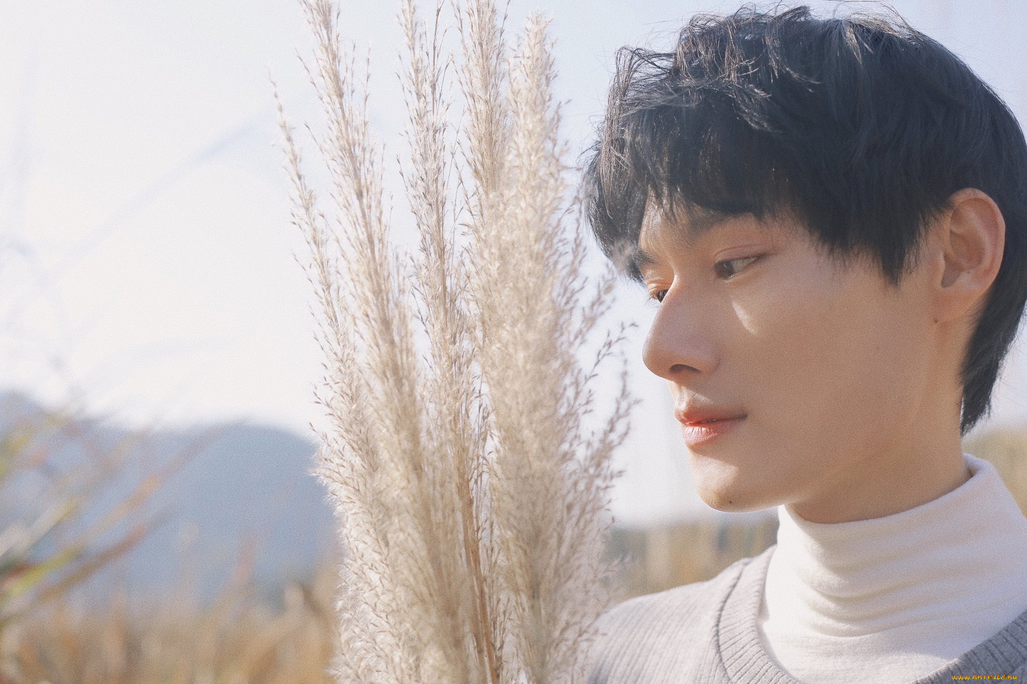 мужчины, wang, zhuocheng, актер, лицо, свитер, метелки