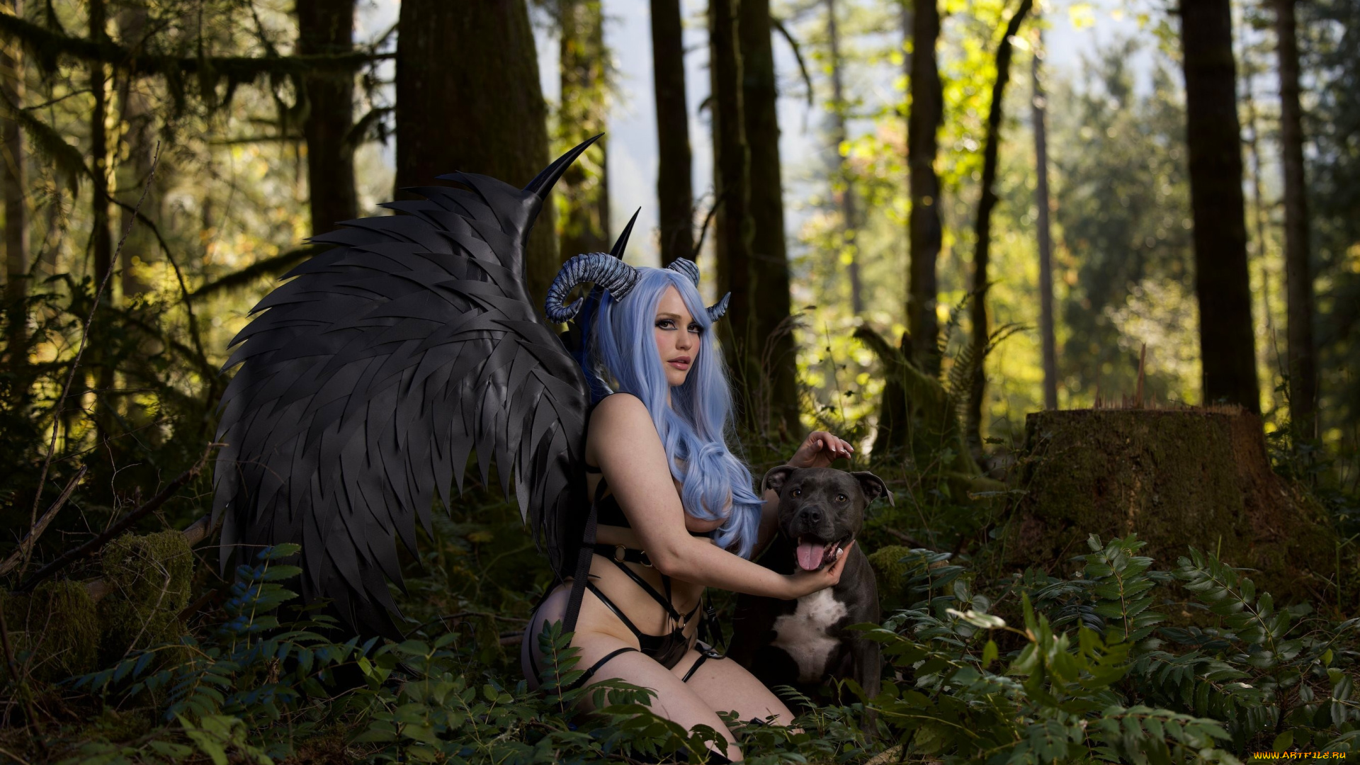 mia, malkova, девушки, mia, malkova, cosplay, собака, демон, крылья, чёрный, лес, девушка, модель, рога, поза, сексуальная, флирт, природа, глаза, фиолетовый, цветы, лето