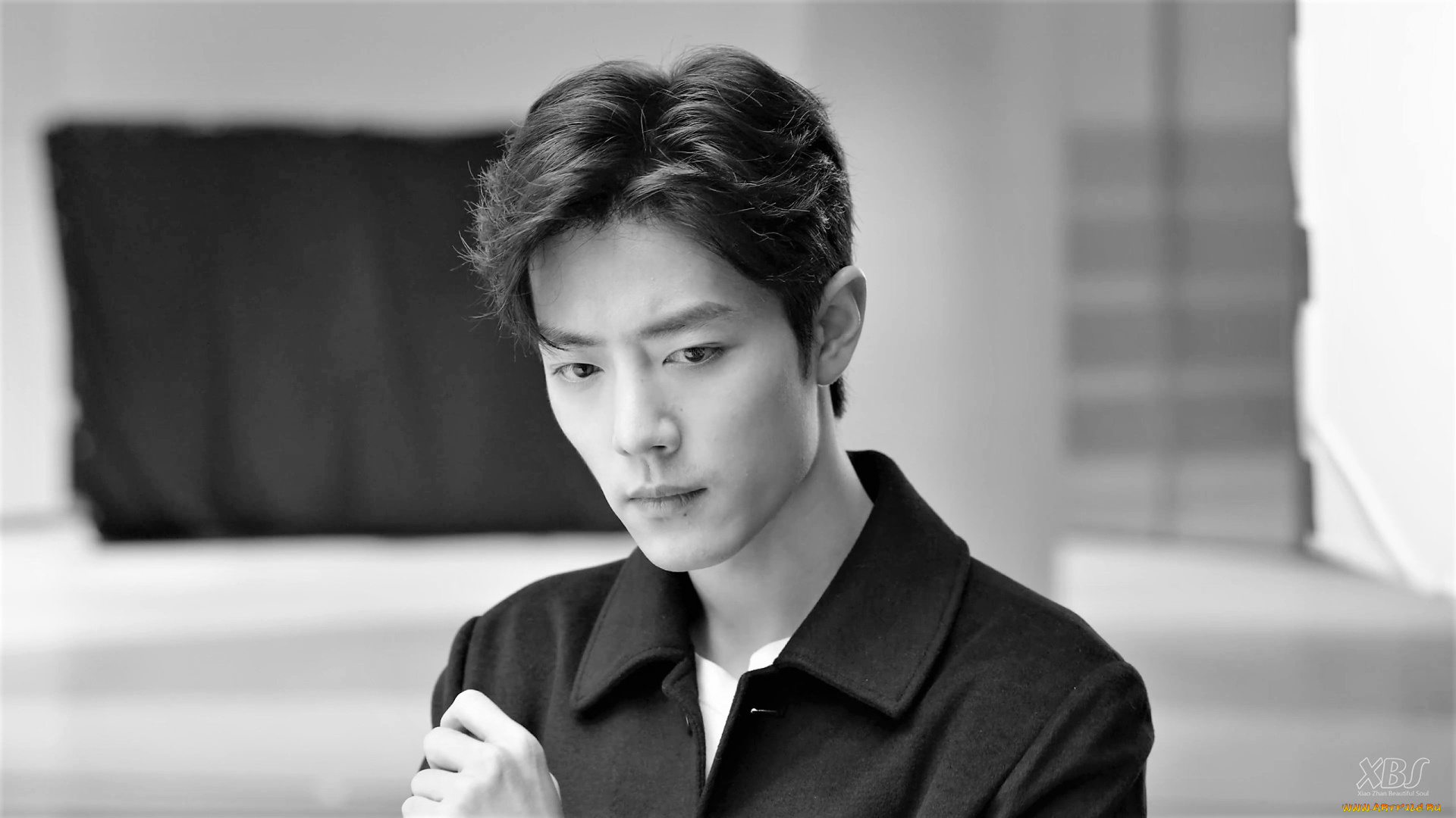 мужчины, xiao, zhan, лицо, рубашка