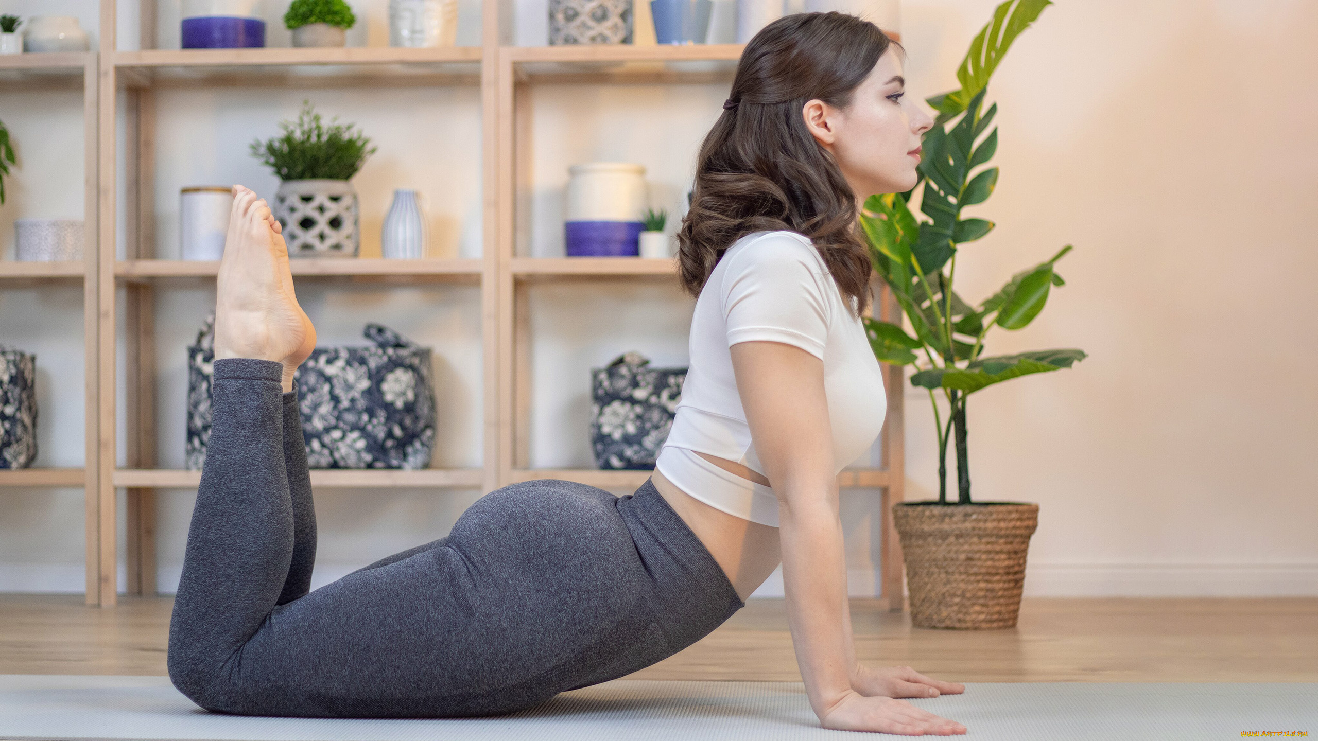 девушки, enji, night, enji, night