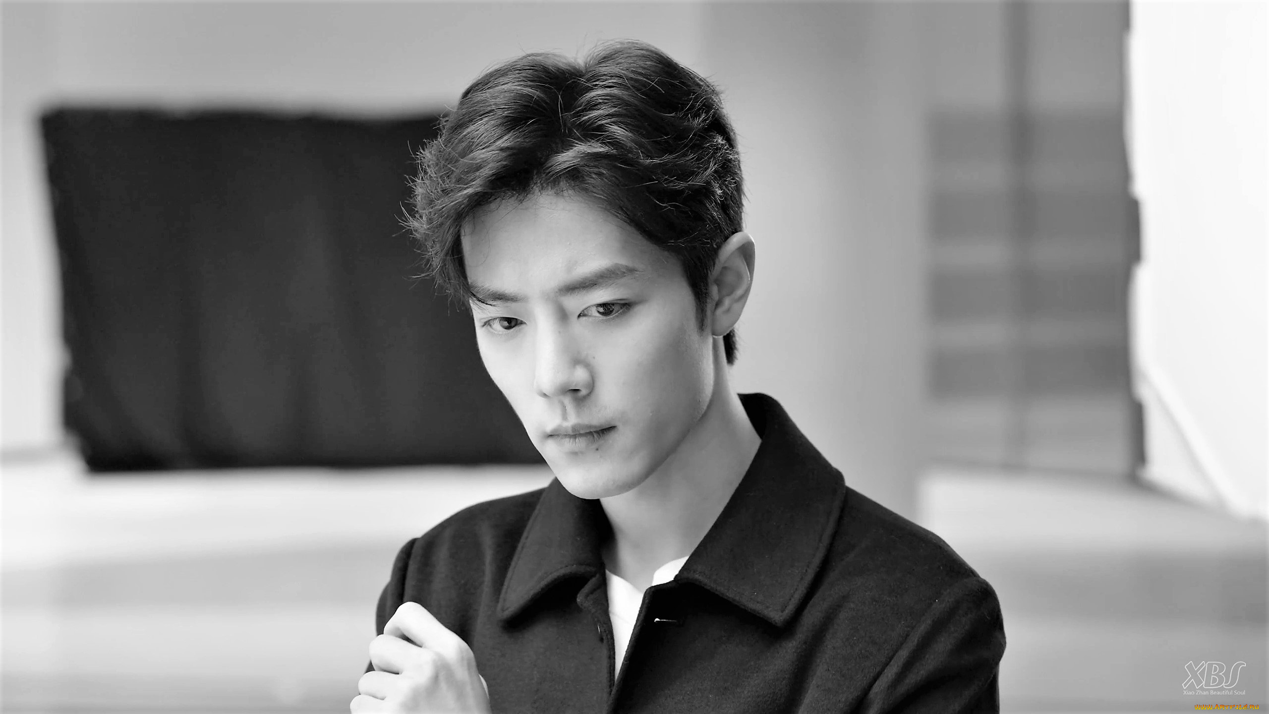 мужчины, xiao, zhan, лицо, рубашка