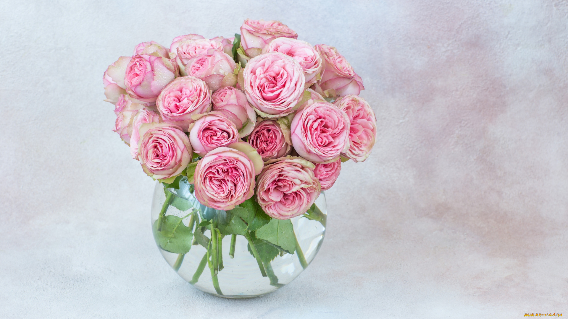 цветы, розы, бутоны, букет