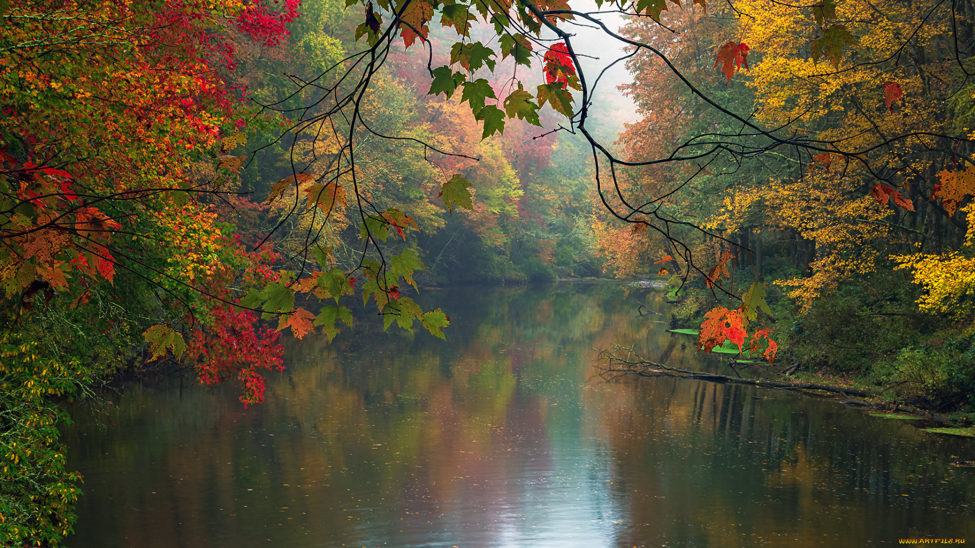 природа, реки, озера, озеро