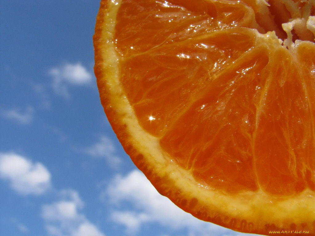 еда, цитрусы