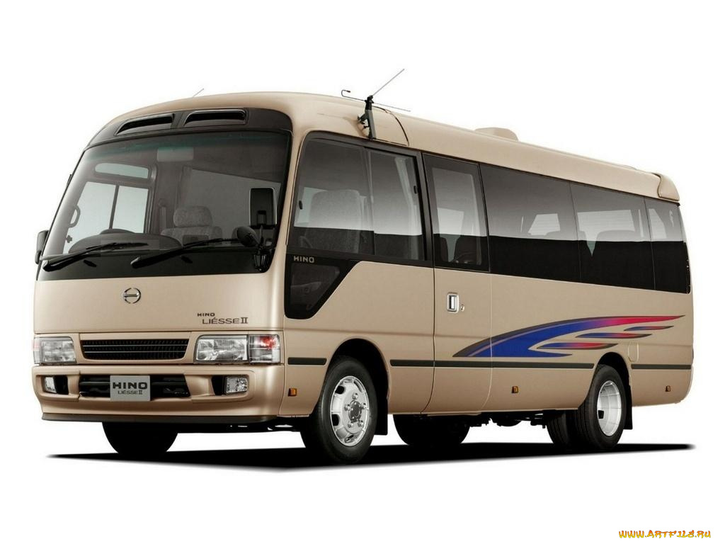 автомобили, автобусы