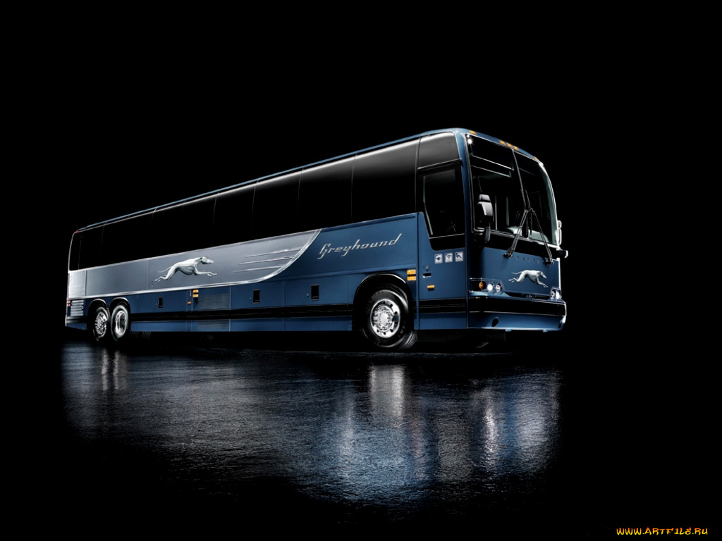 автомобили, автобусы