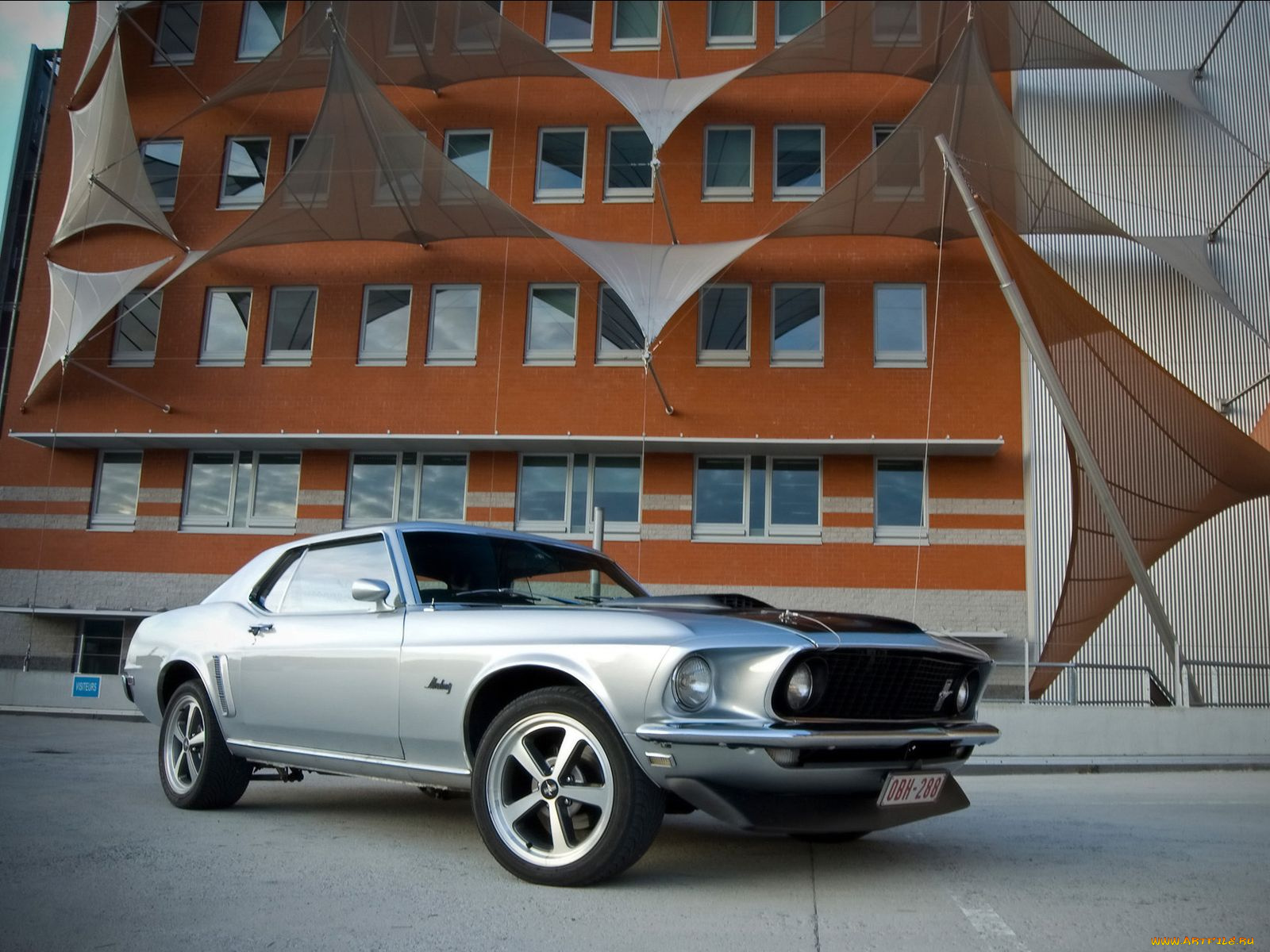 автомобили, mustang