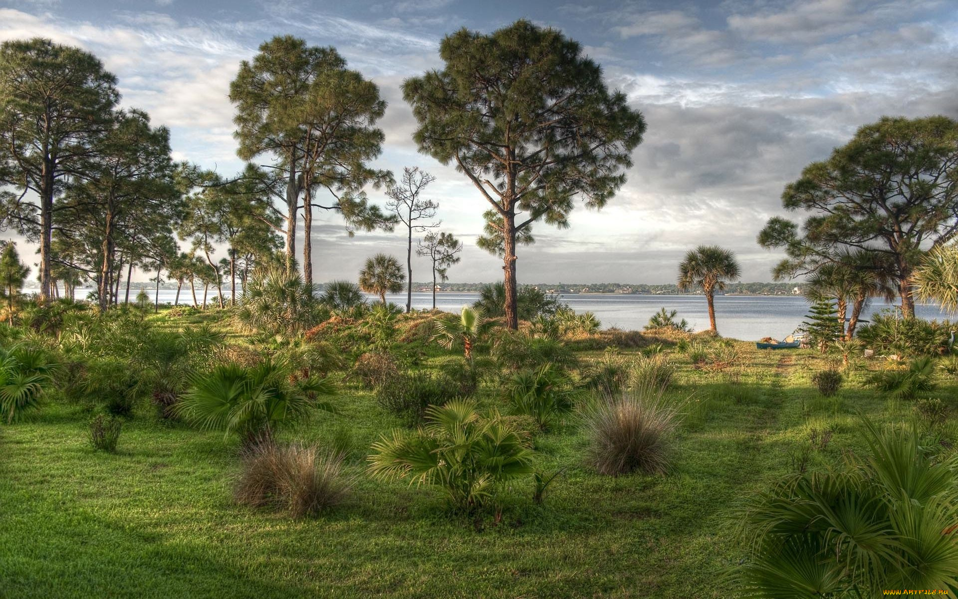 природа, пейзажи