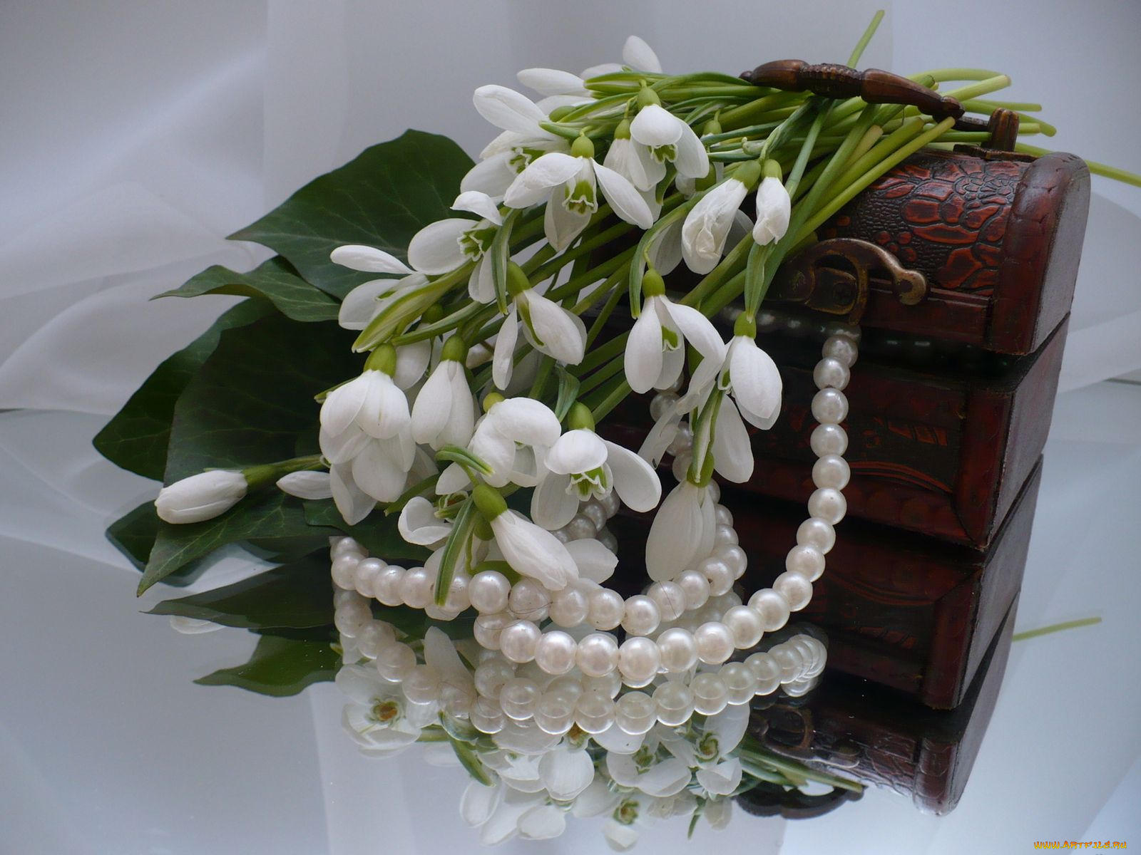 цветы, подснежники, белоцветник