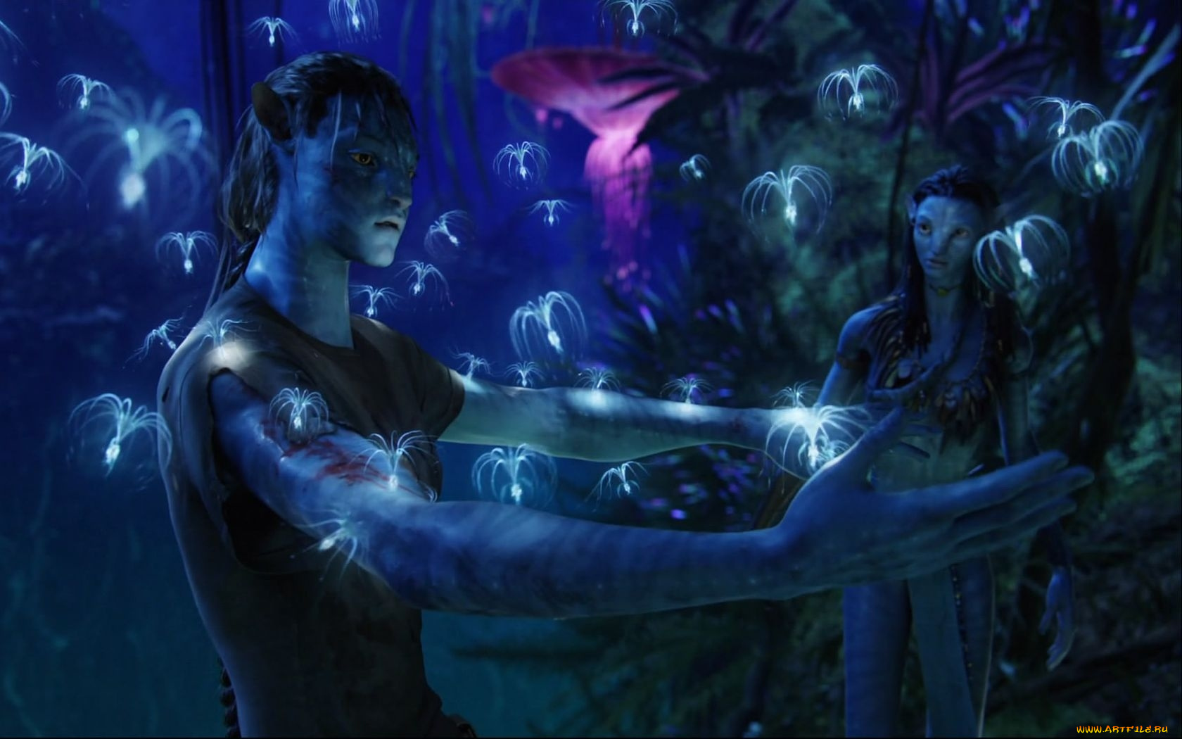 кино, фильмы, avatar
