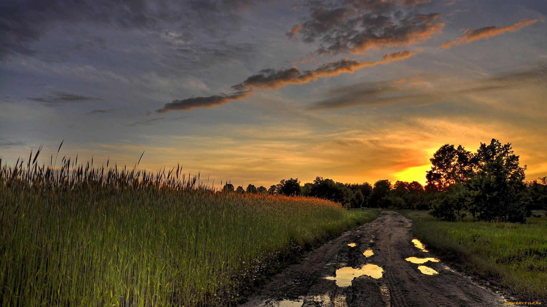 природа, дороги