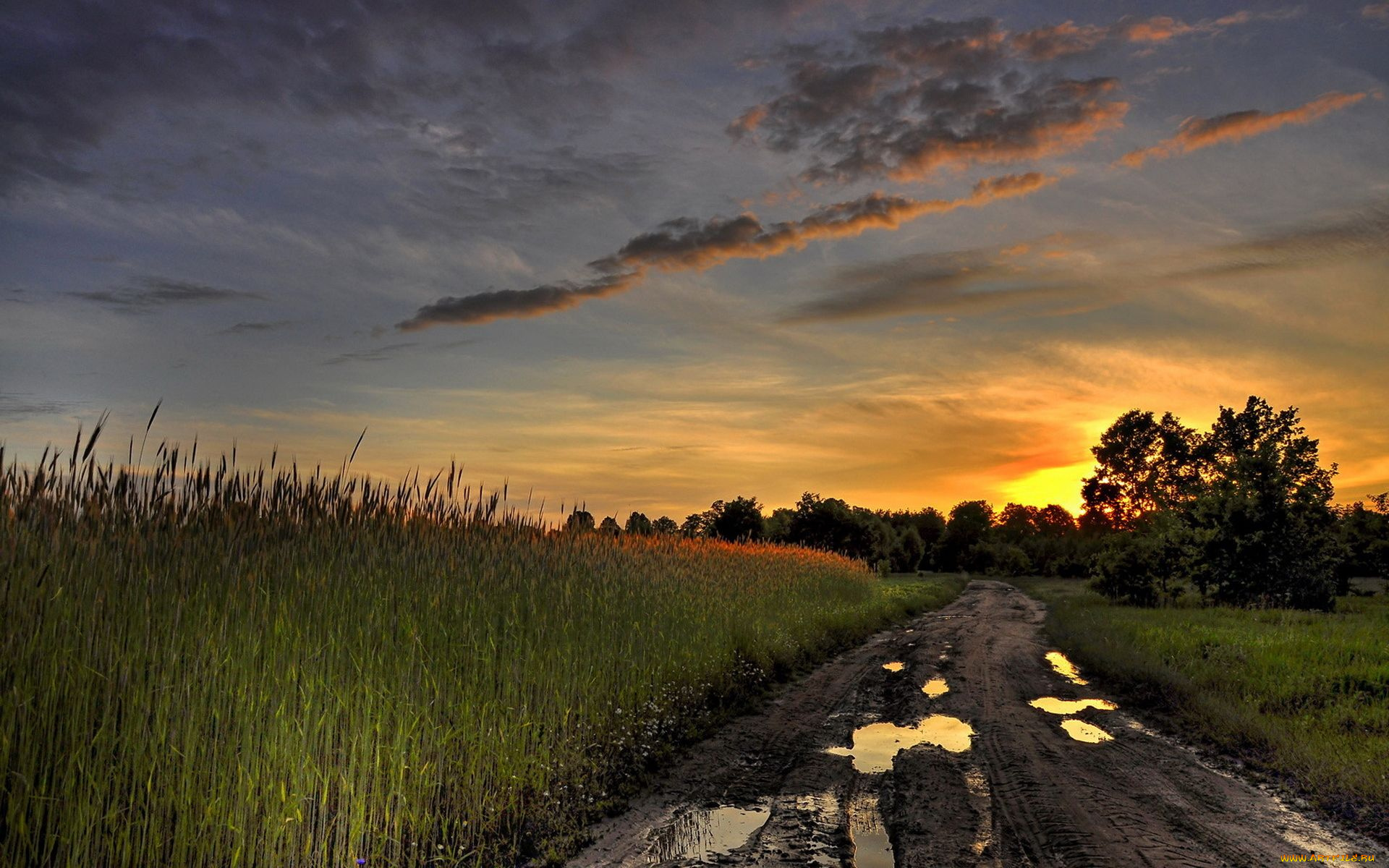 природа, дороги