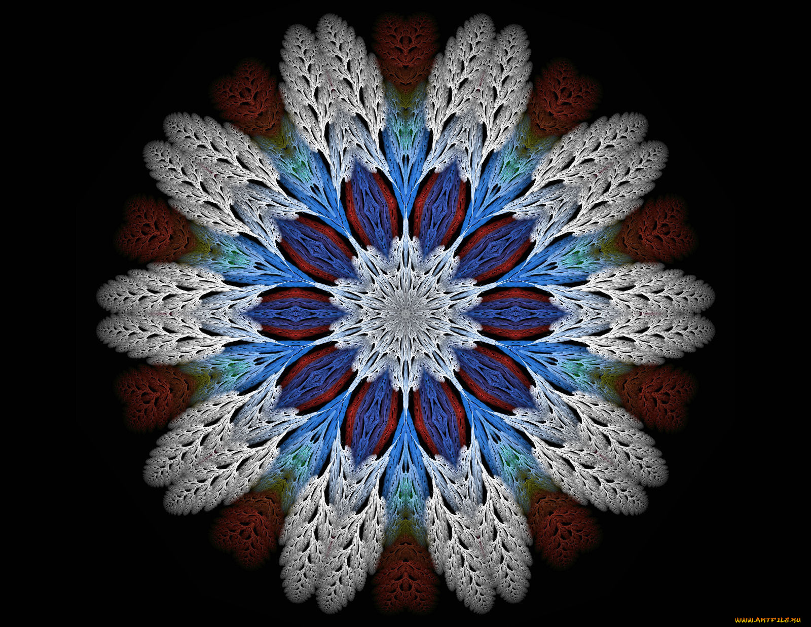 3д, графика, fractal, фракталы, рисунок, фон, узор