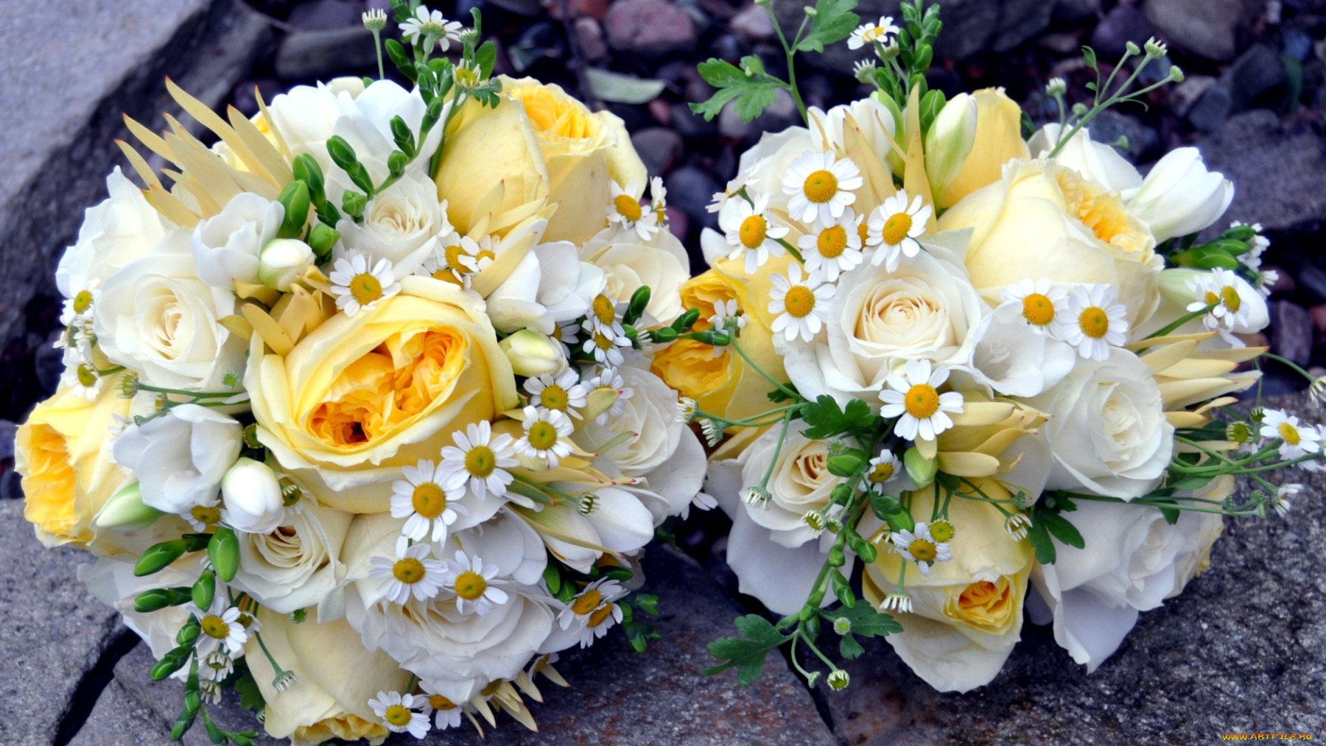цветы, букеты, композиции, ромашки, фрезия, розы