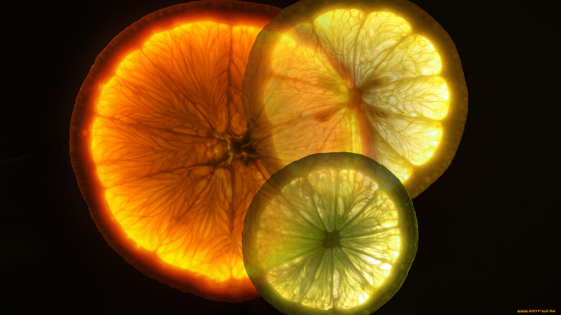 еда, цитрусы, лимон, апельсин, лайм