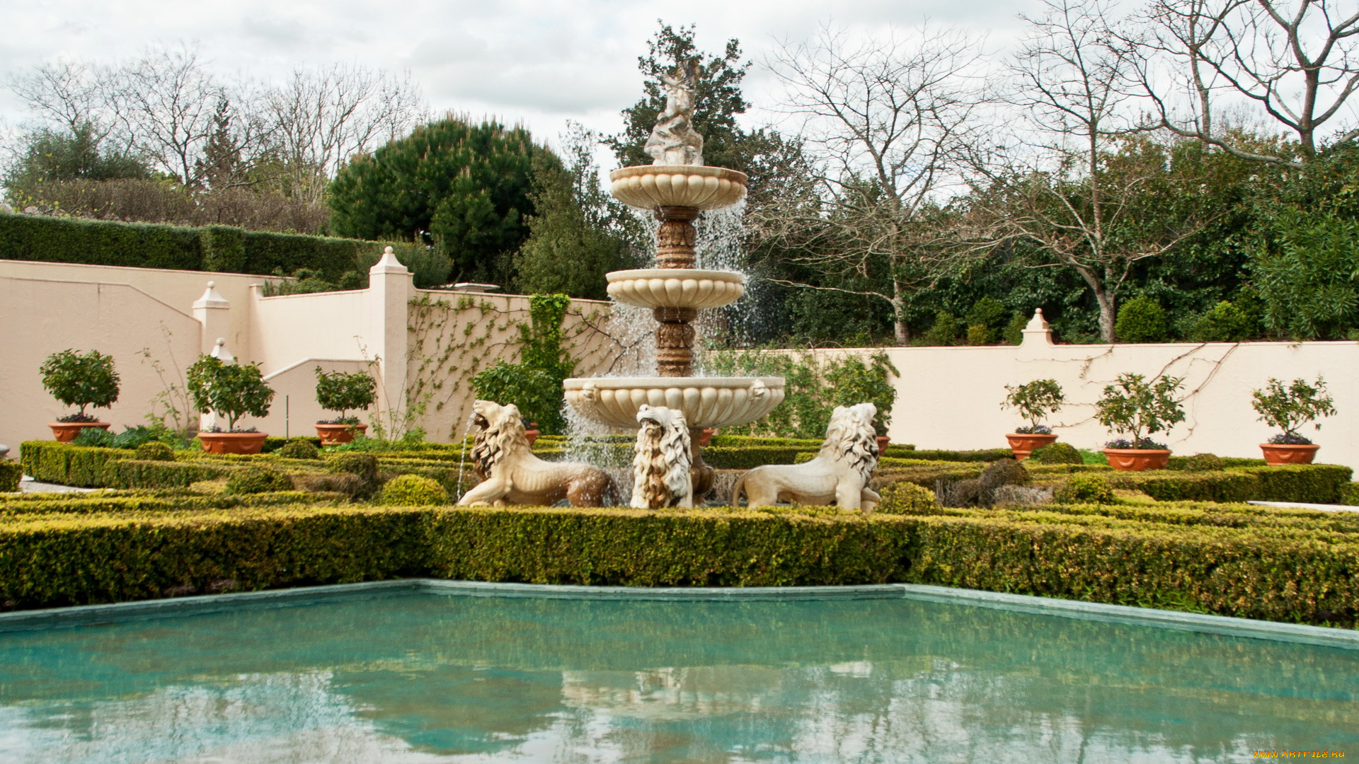 города, фонтаны, hamilton, gardens, new, zealand