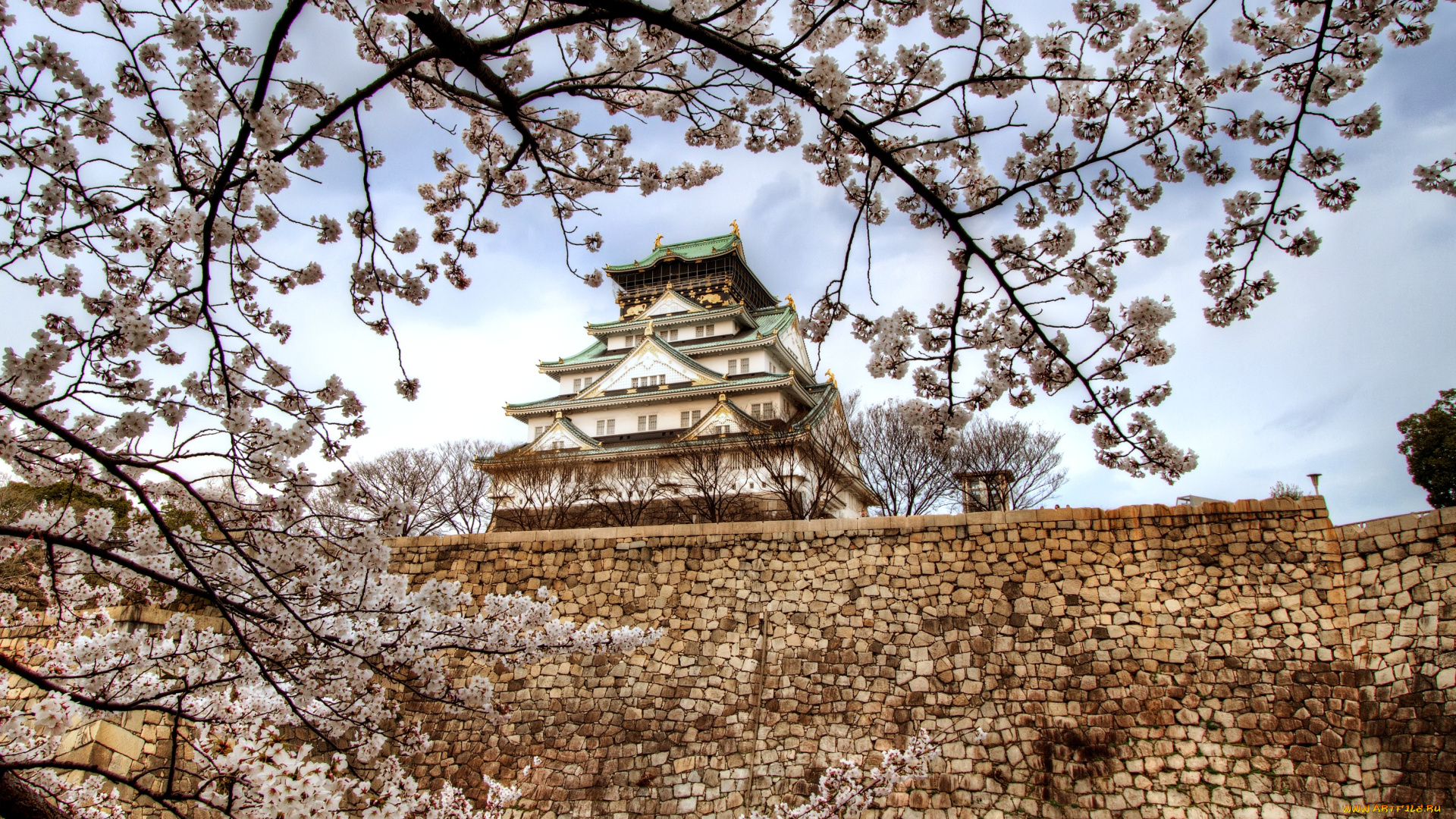 осака, Япония, города, замки, Японии, сакура, пагода, стена, замок