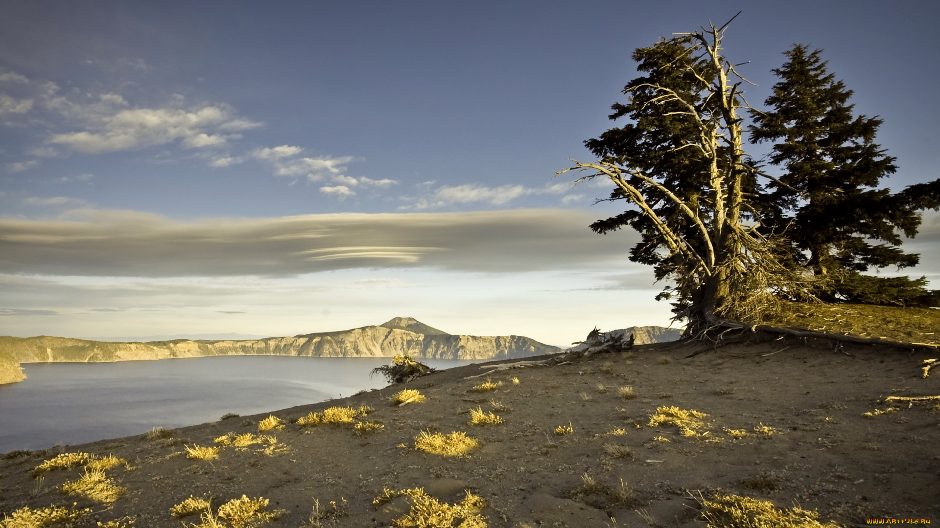 природа, деревья, горы, пейзаж