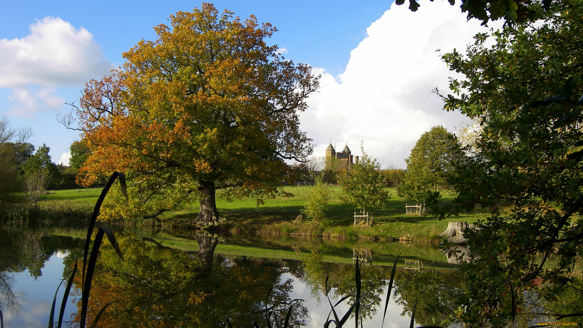 природа, реки, озера, кент, sissinghurst, великобритания