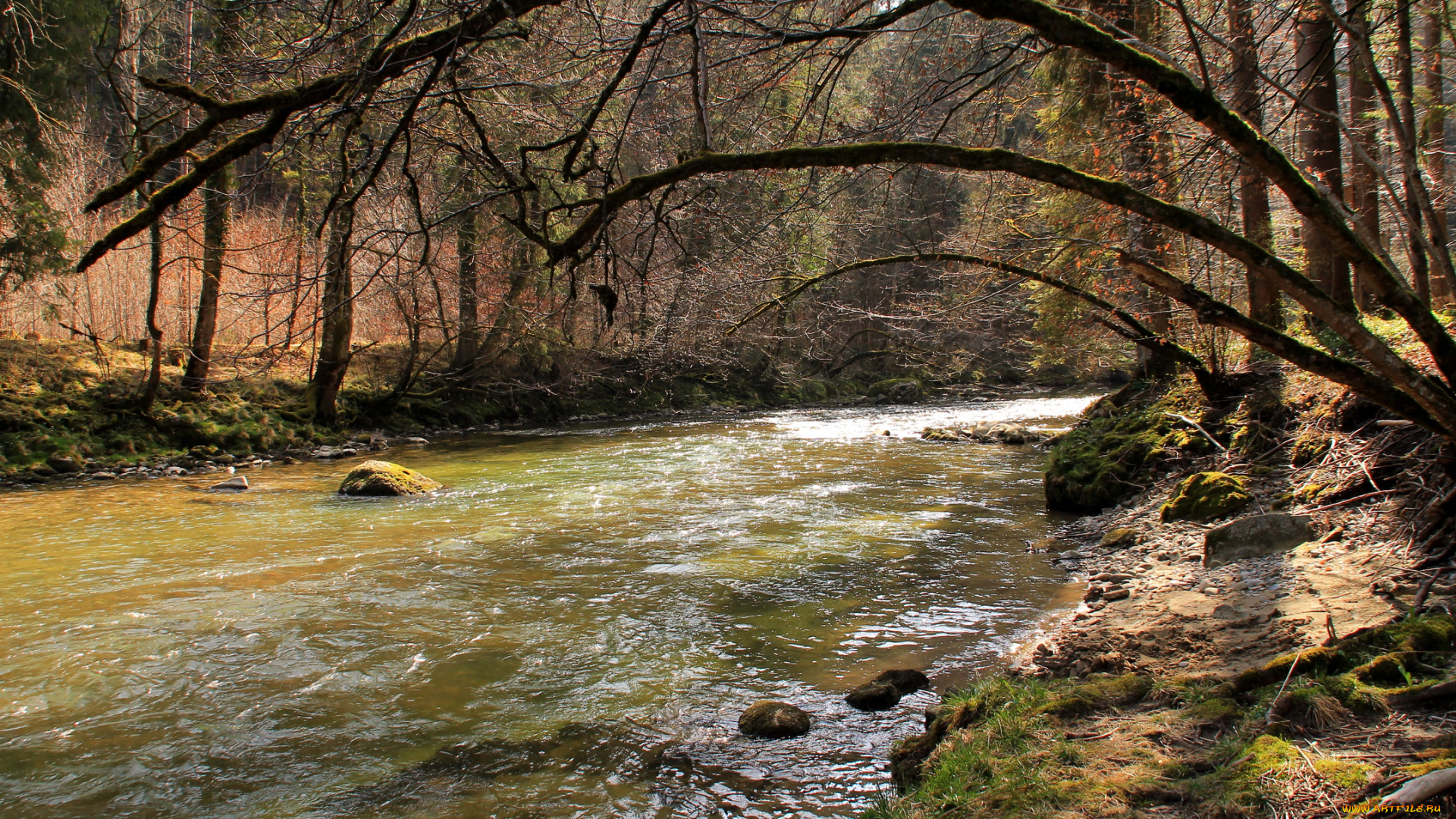 природа, реки, озера, ванген-им-алльгой
