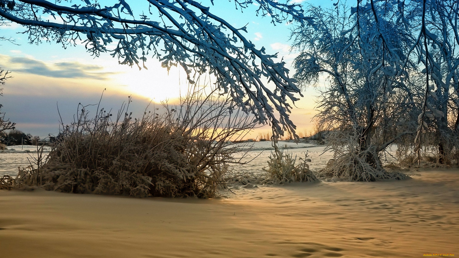 природа, зима, снег