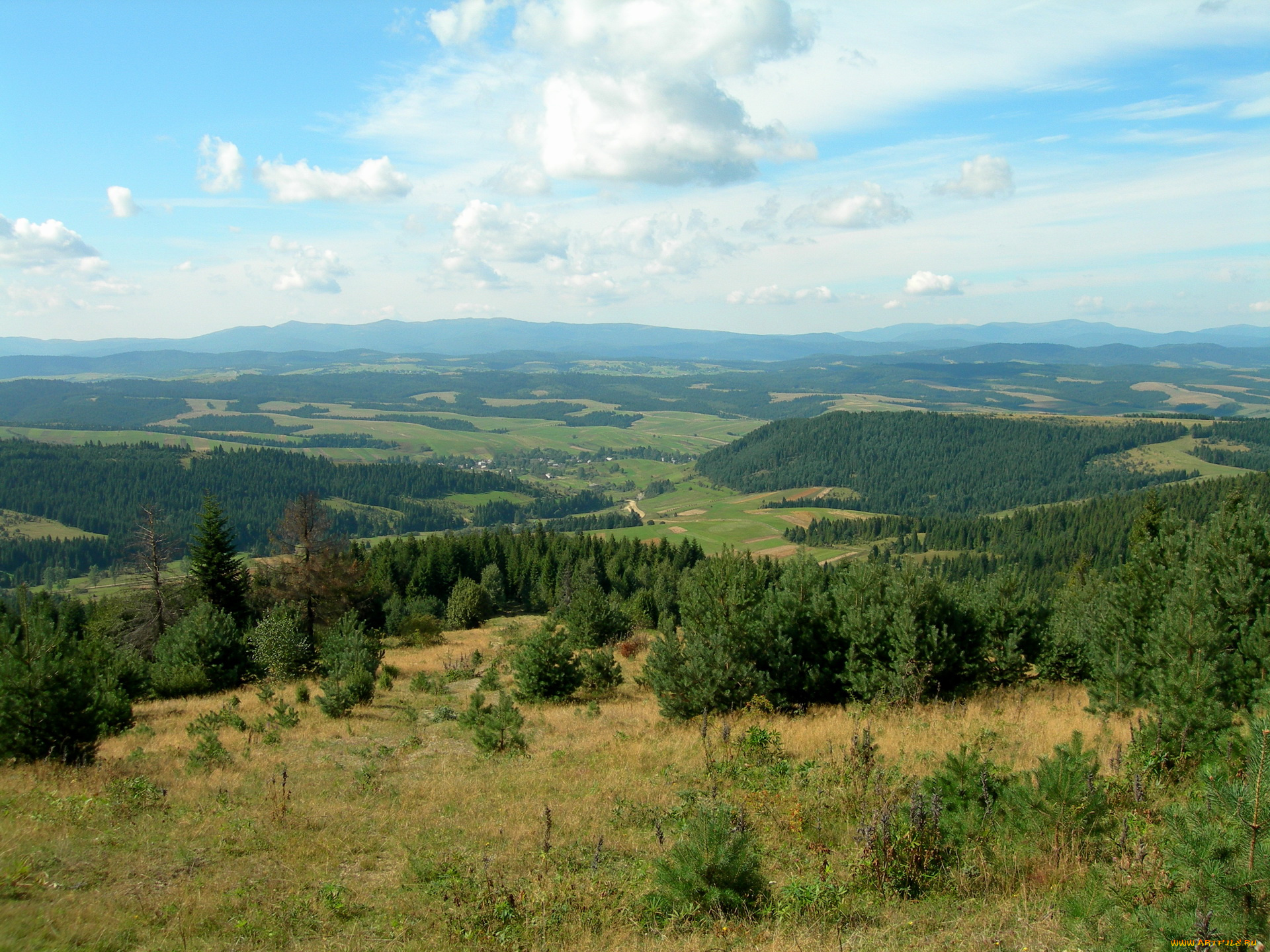 природа, пейзажи, украина, карпаты, львовской, области