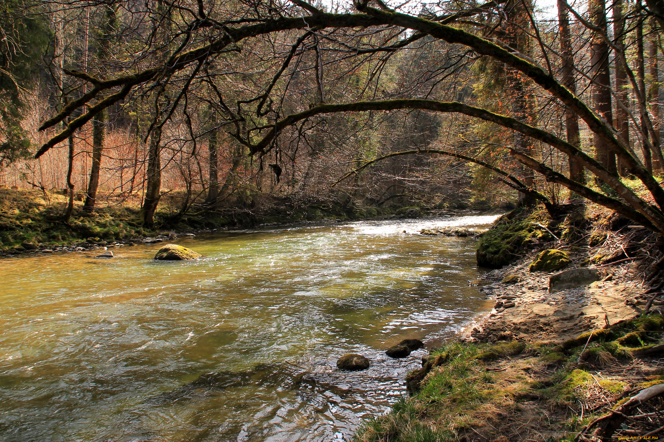 природа, реки, озера, ванген-им-алльгой