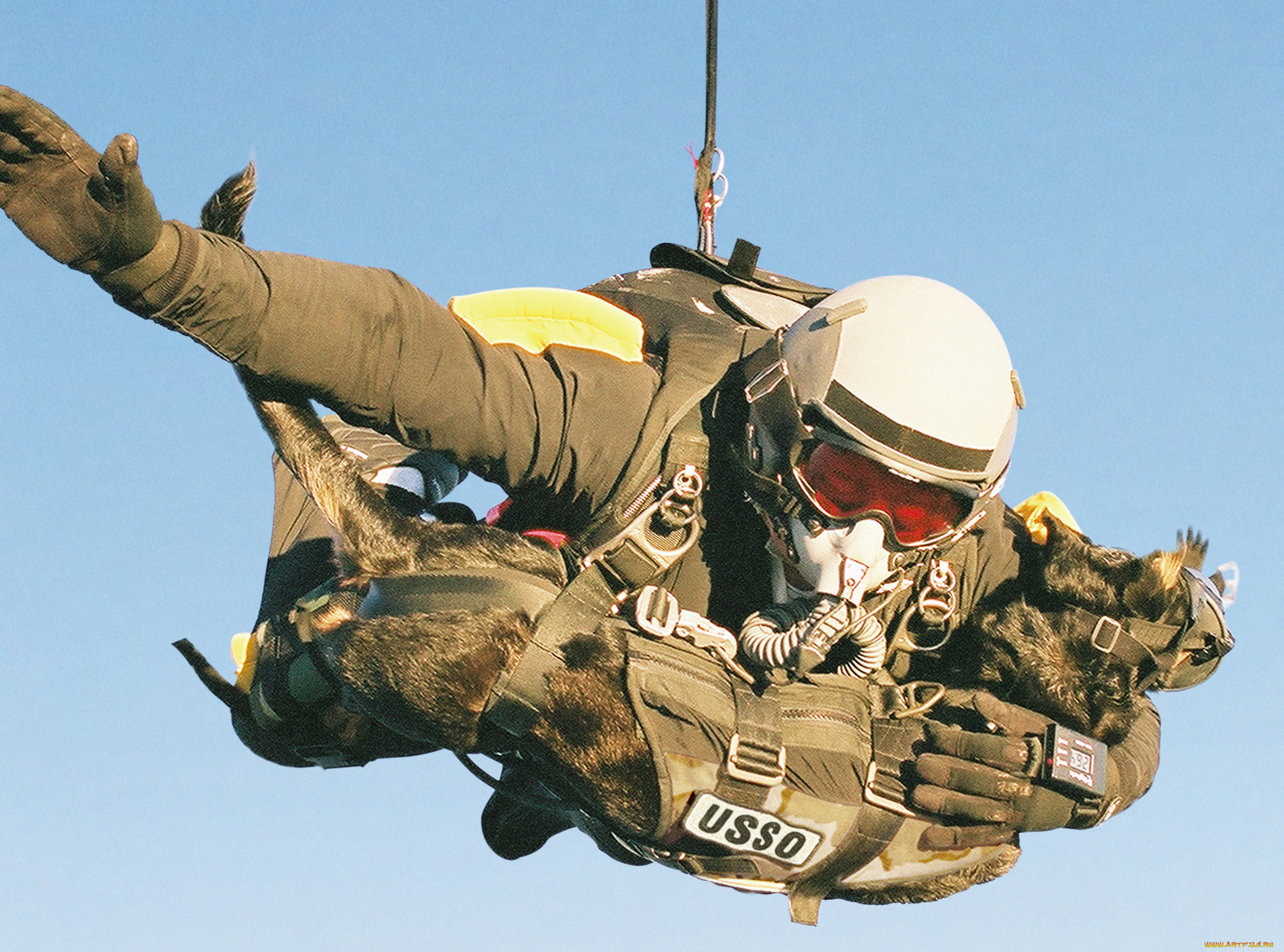 оружие, армия, спецназ, army, military