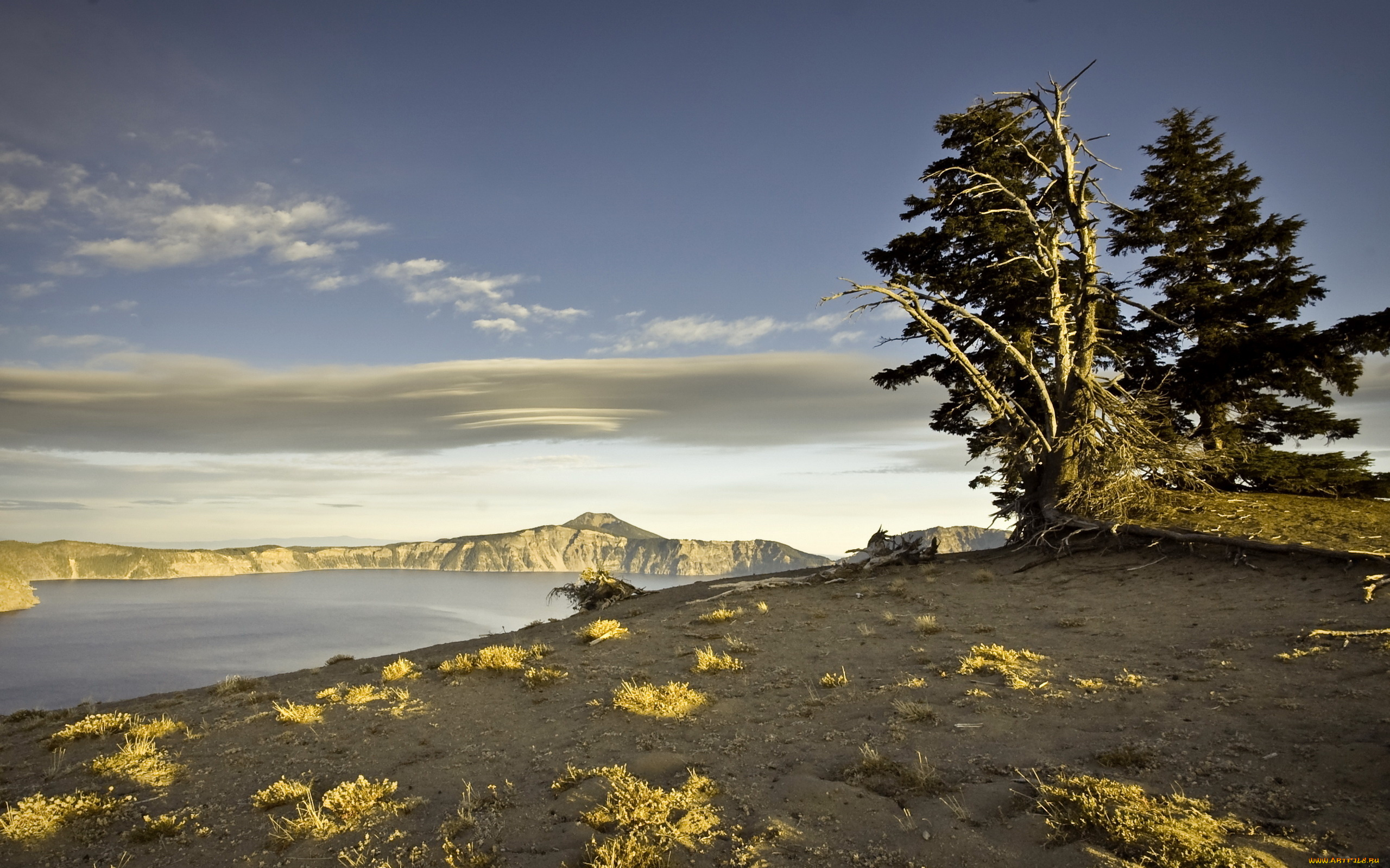 природа, деревья, горы, пейзаж