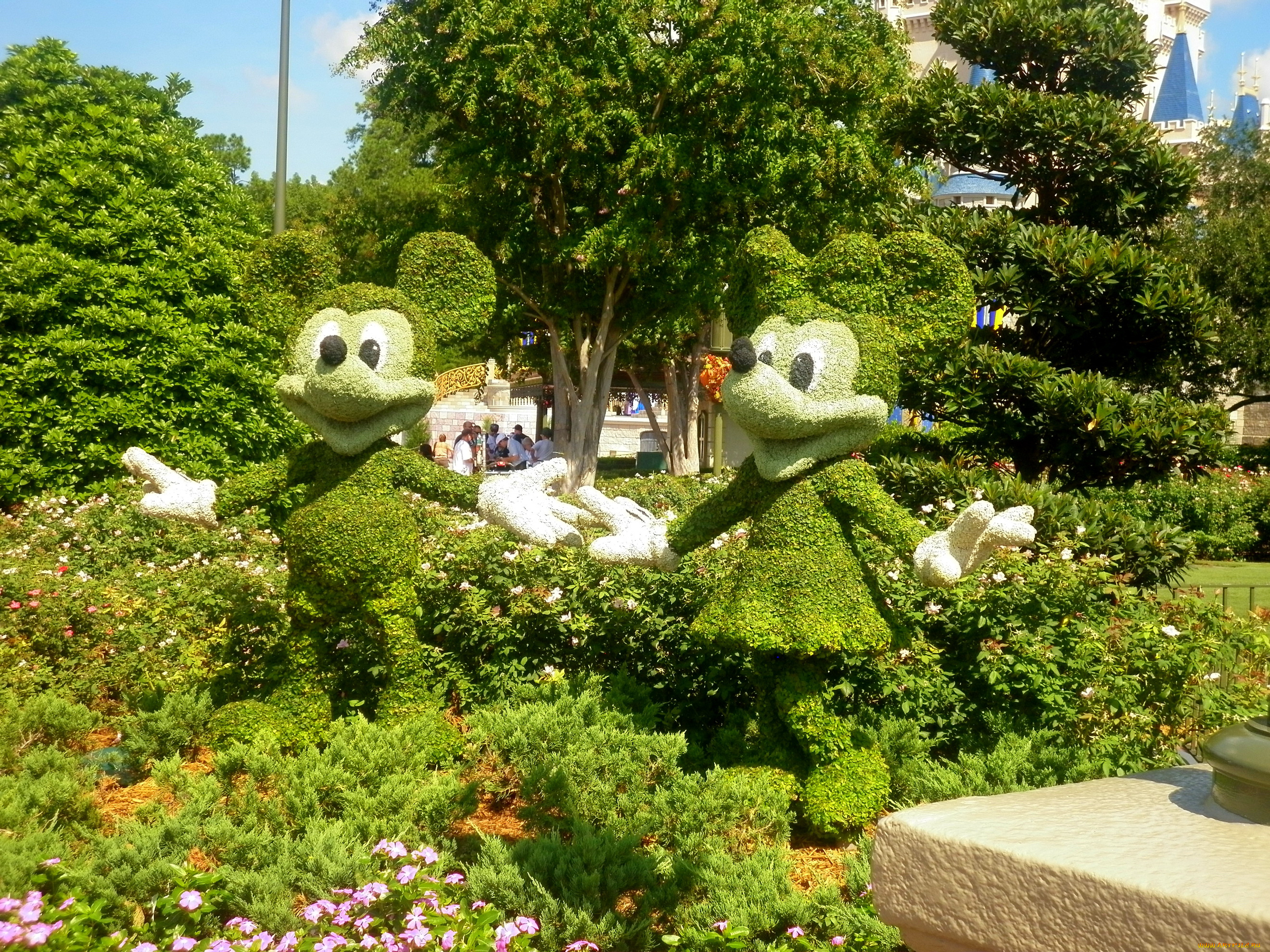 природа, парк, сша, флорида, mickey, , minnie, mouses