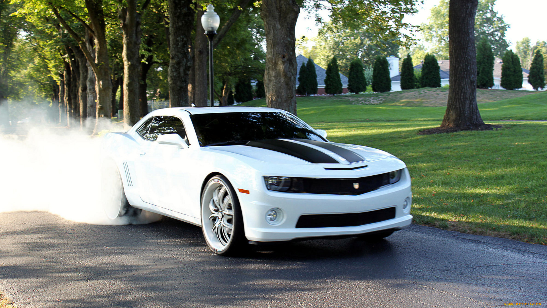 chevrolet, camaro, автомобили, сша, gm, division