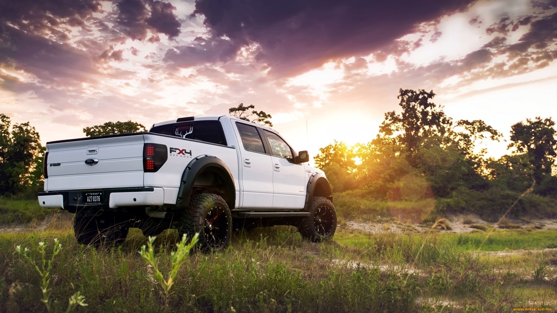 ford, автомобили, сша, motor, company