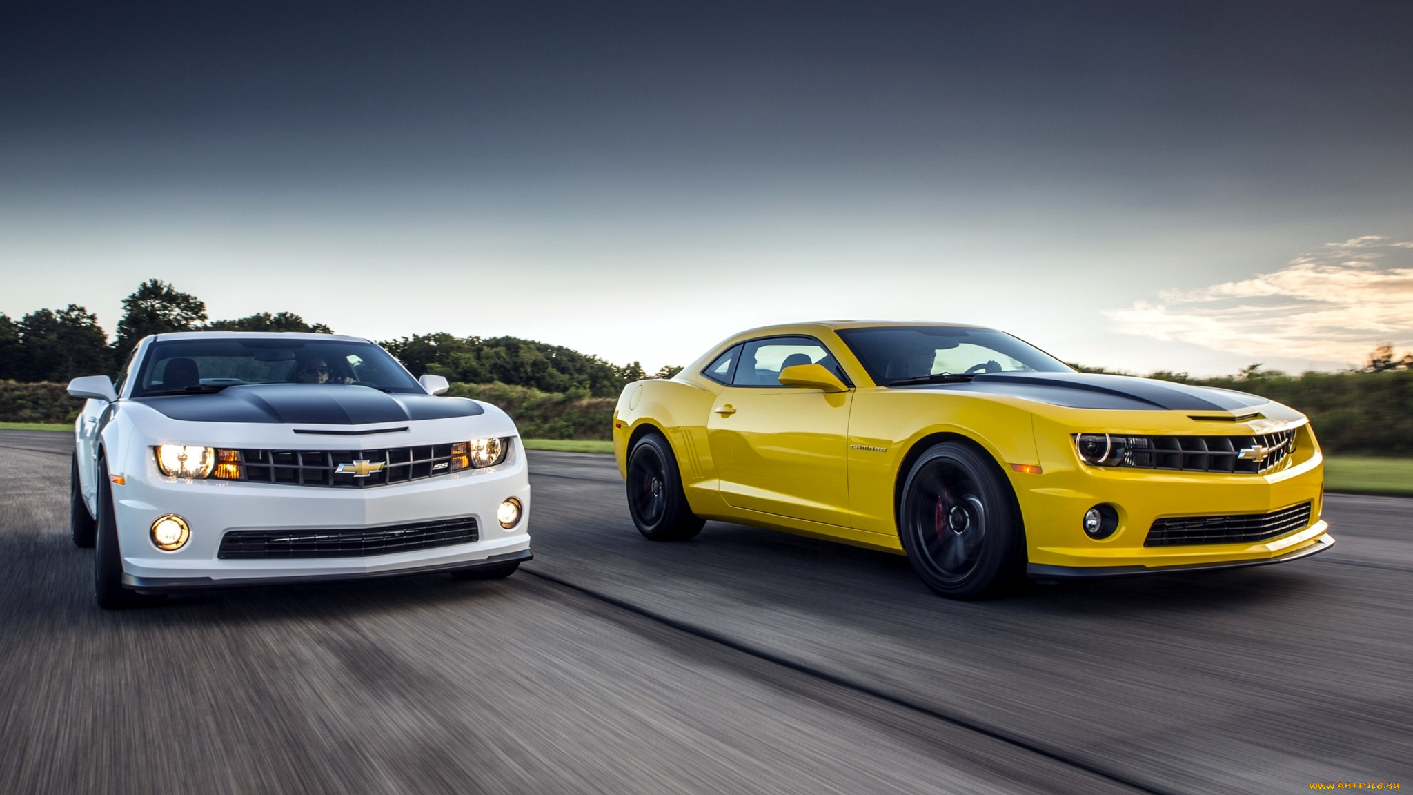 chevrolet, camaro, автомобили, сша, gm, division