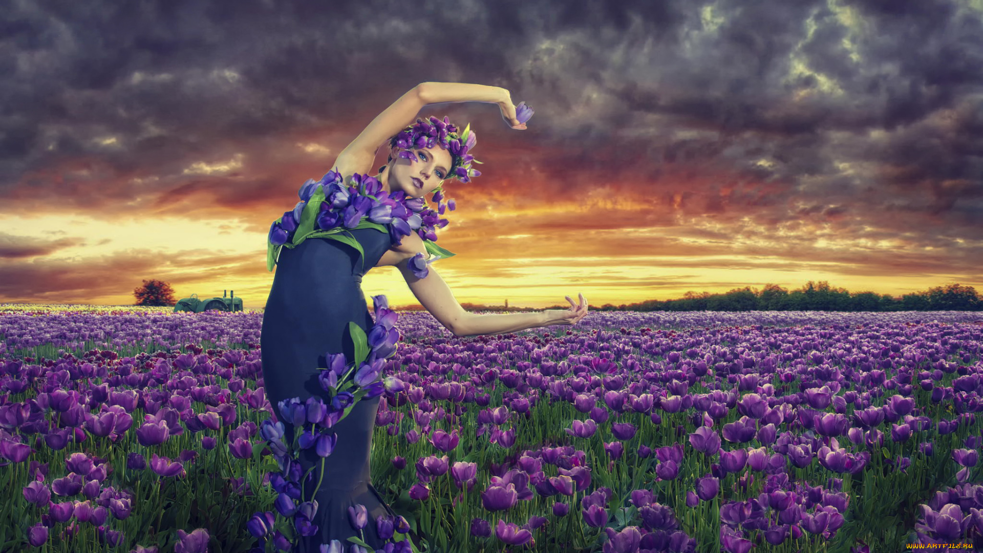 девушки, -unsort, , креатив, цветы, поле, облака, тюльпаны