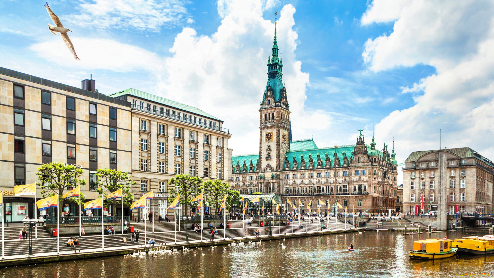 hamburg, , germany, города, гамбург, , германия, набережная, здания, ратуша, река, альстер, альстерзе, чайка, лебеди, птицы, флаги, town, hall, rathaus, germany, гамбург, alster, river