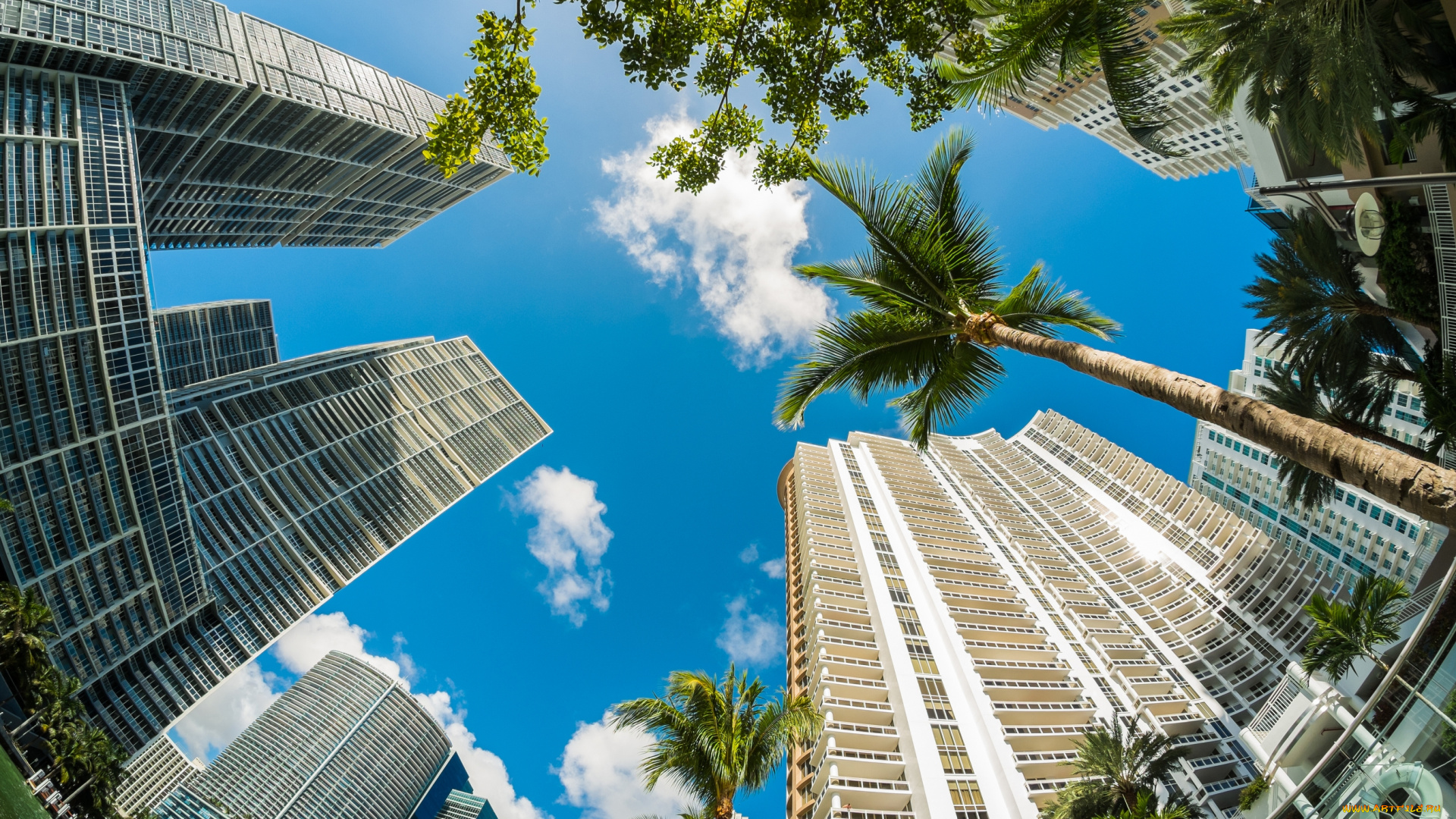 miami, , florida, , usa, города, -, здания, , дома, florida, usa, майами, флорида, сша, здания, пальмы