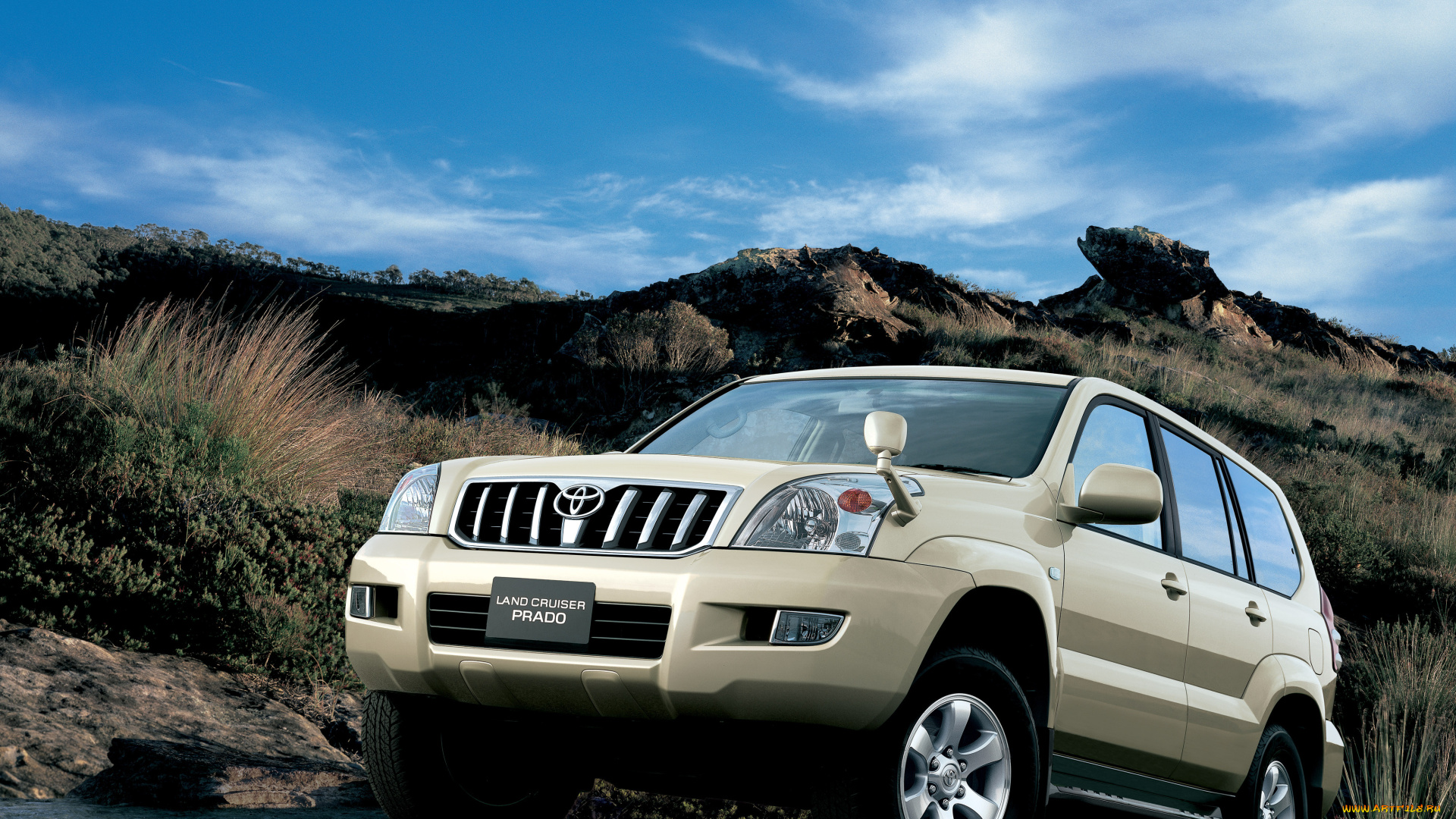 автомобили, toyota