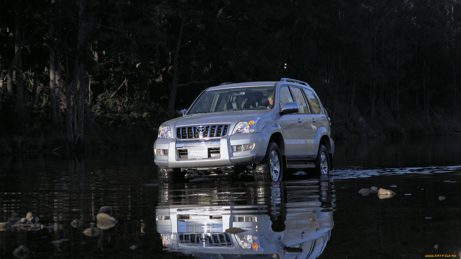 автомобили, toyota