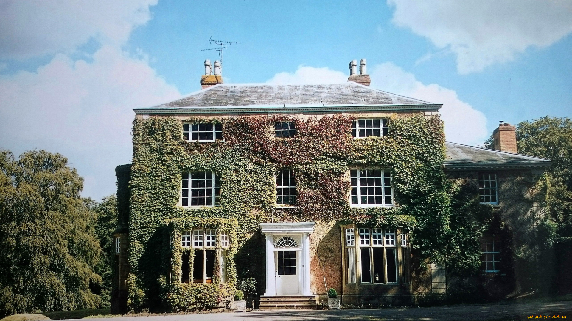 города, -, здания, , дома, плющ, дом