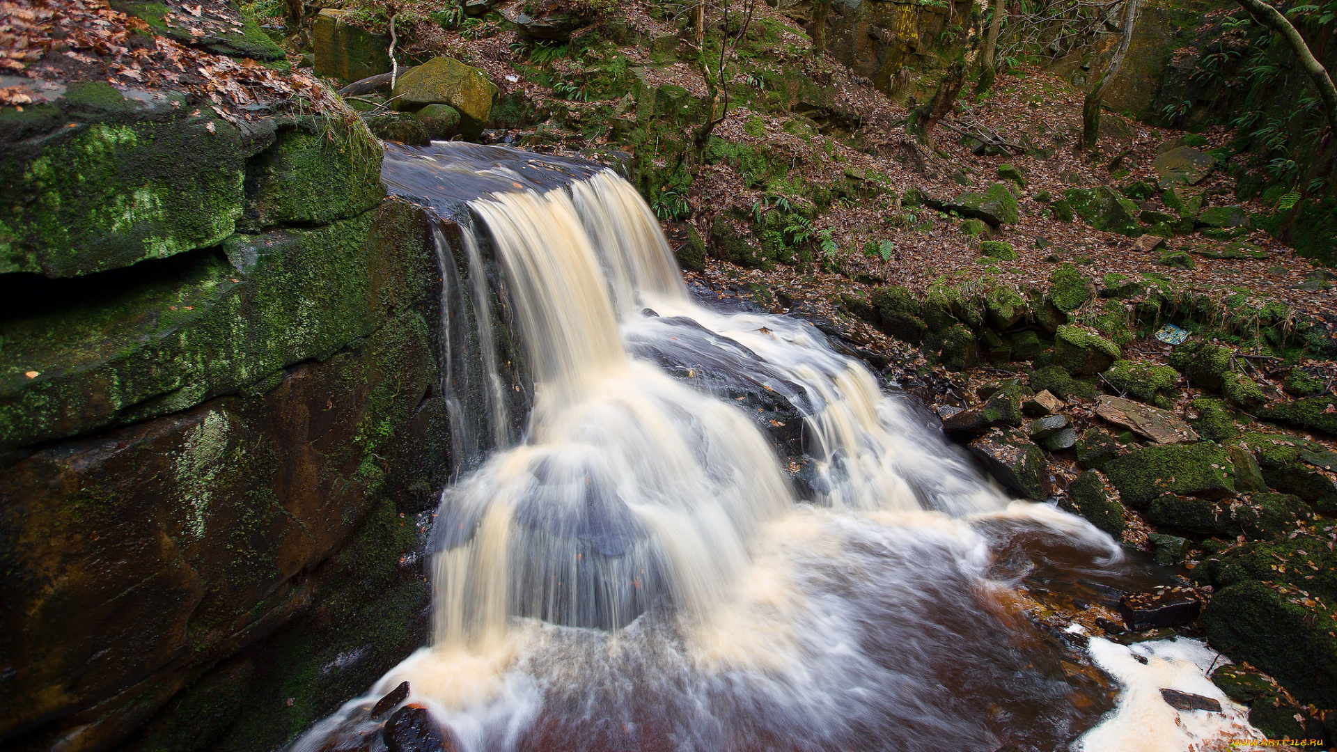 природа, водопады, водопад, лес, река