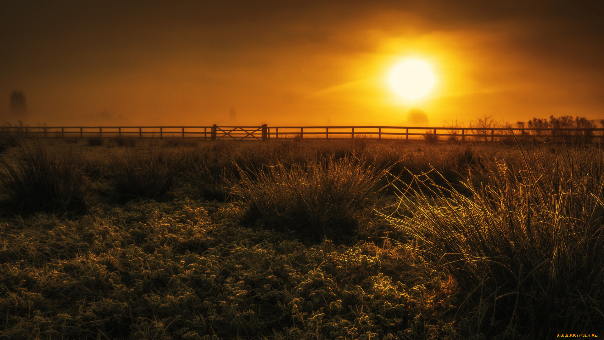 природа, восходы, закаты, рассвет