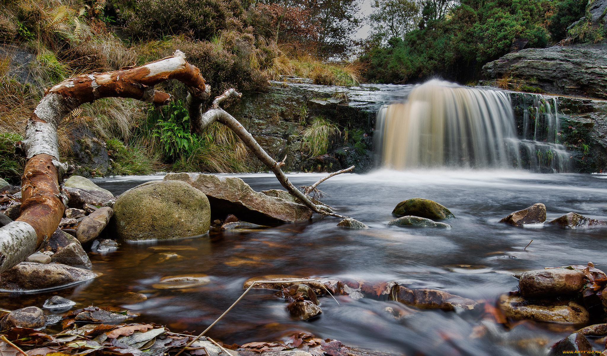 природа, водопады, водопад, река, лес