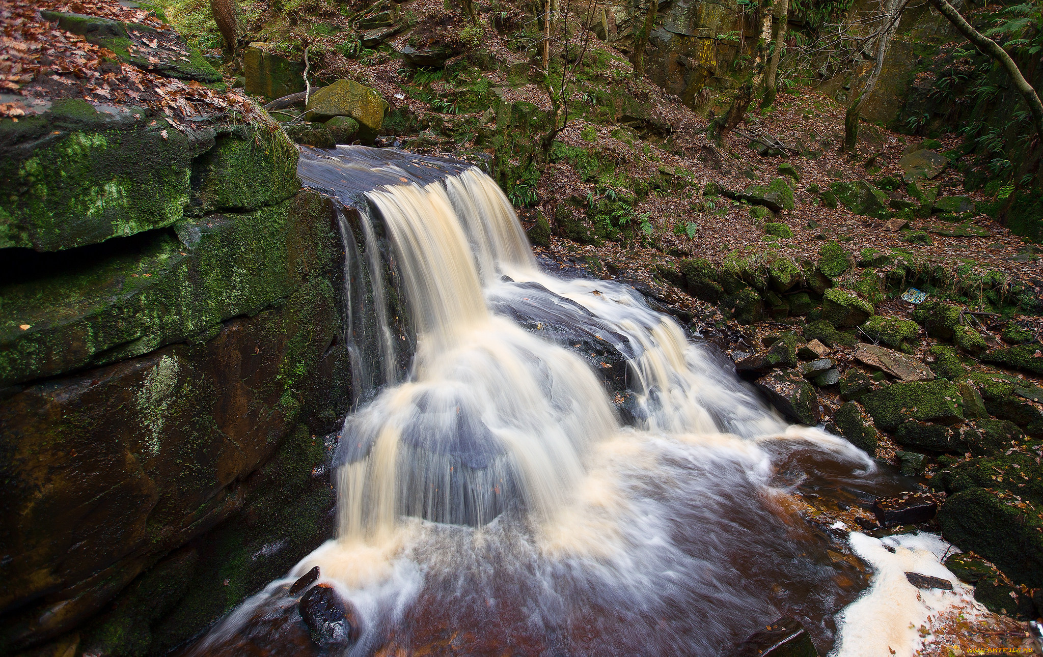 природа, водопады, водопад, лес, река