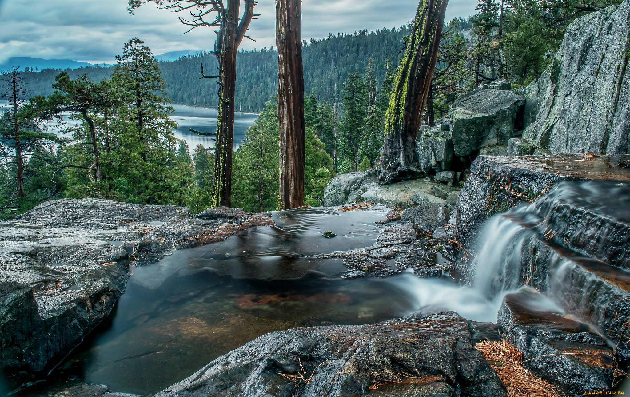 природа, водопады, водопад, лес, река