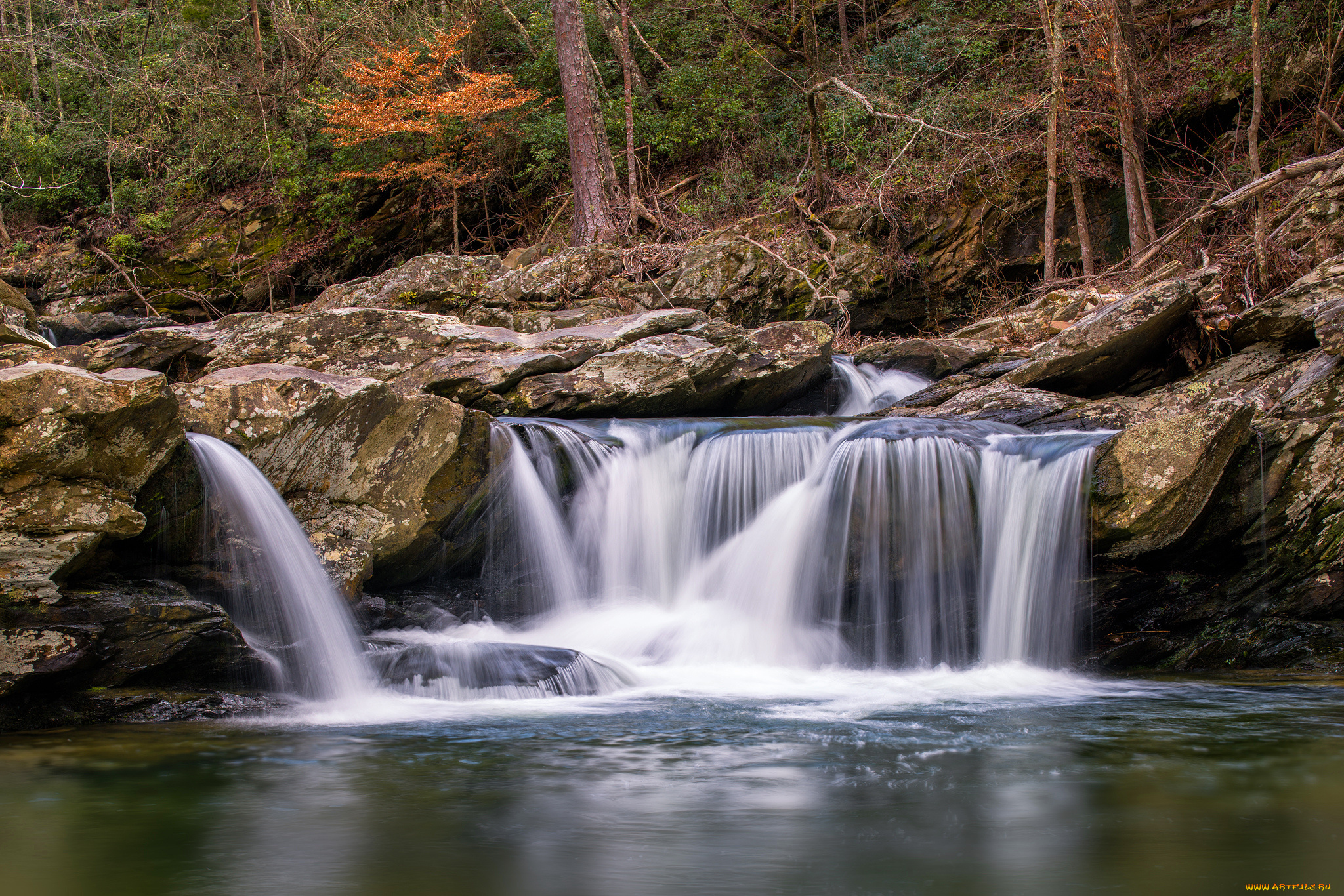 природа, водопады, лес, водопад, река