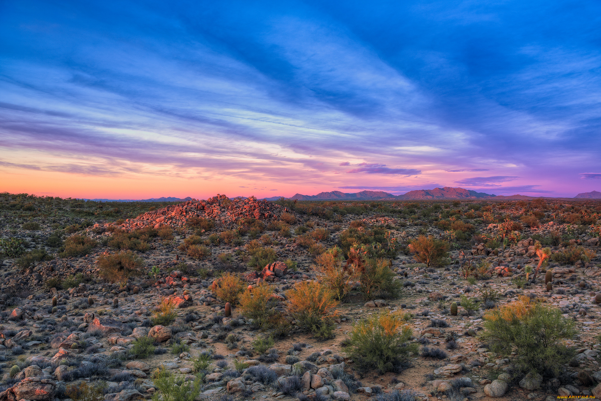 природа, пустыни, простор