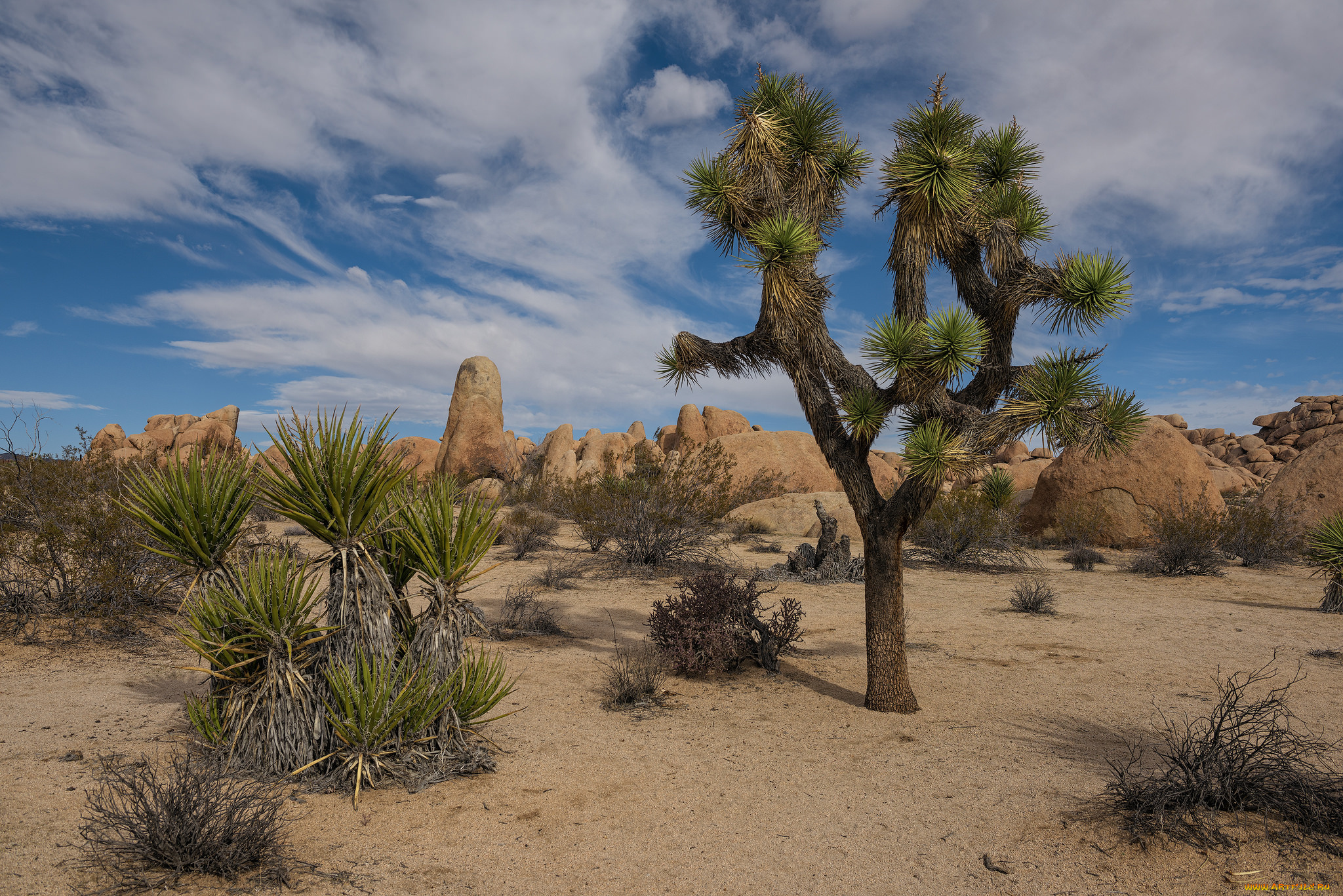 природа, пустыни, простор