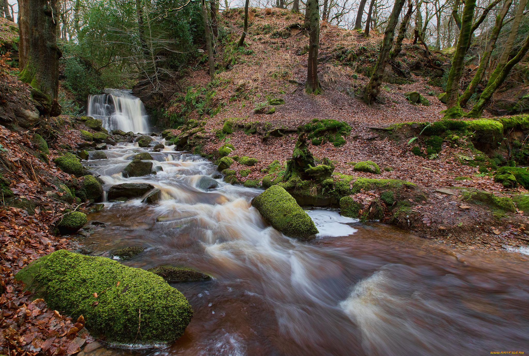 природа, водопады, река, лес, водопад